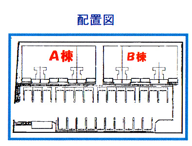 ﾌﾟﾚｼｬｽMⅡ_画像2